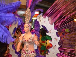 Carnaval de Mula 2012